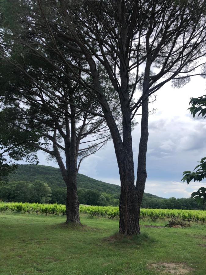 La Grange De Marie Villa Valaurie Dış mekan fotoğraf